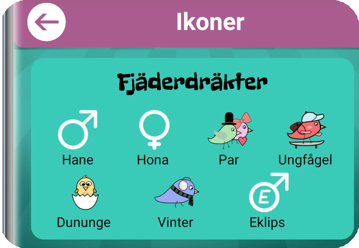 APP